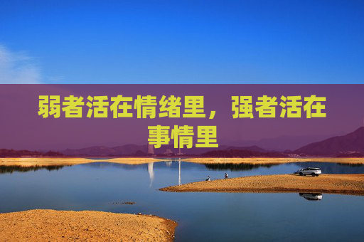 弱者活在情绪里，强者活在事情里 第1张
