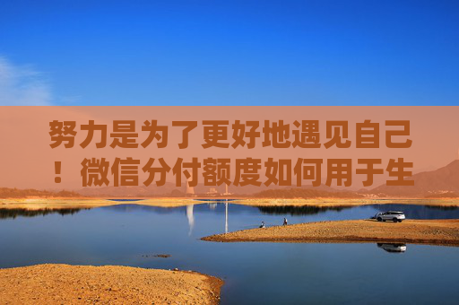 努力是为了更好地遇见自己！微信分付额度如何用于生活周转：实现资金的有效利用