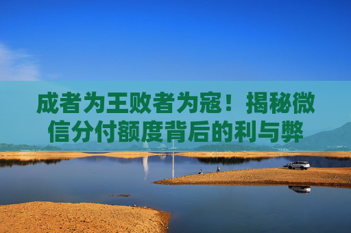 成者为王败者为寇！揭秘微信分付额度背后的利与弊 第1张