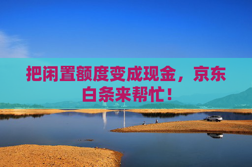 把闲置额度变成现金，京东白条来帮忙！ 第1张
