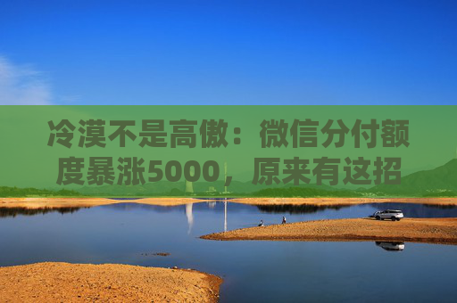 冷漠不是高傲：微信分付额度暴涨5000，原来有这招！