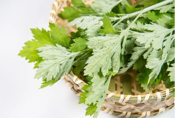 清明食艾叶、端午采艾草、入秋晒艾蒿