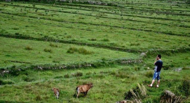 田埂荒了，牌桌热了：别让打牌消磨了乡村的烟火气