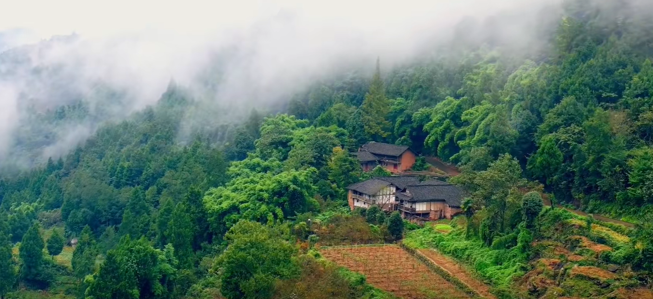 秋水蹉跎渐凝滞，寒露节前枕艾眠