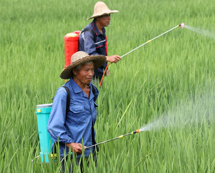 千年之弊：“改稻为桑”的当代镜像与耕地危机