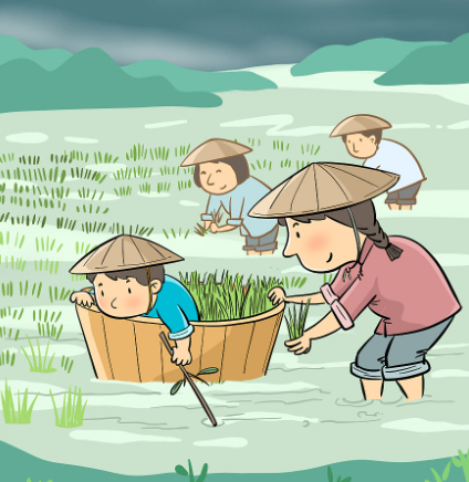 千年之弊：“改稻为桑”的当代镜像与耕地危机