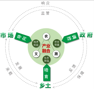 田垄上的 “面子工程”：耕地为 “无用种植” 让路