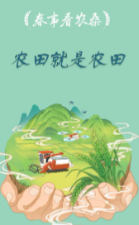 “不是父母想种地，只是不想让地荒着”沃土之殇：当土地沦为政绩的祭品