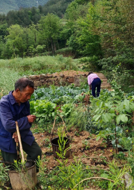 一万块钱在你眼中不多，但在农村父母的眼中也许是巨款