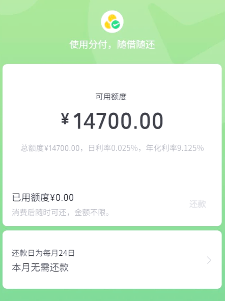 网贷第二梯队：花呗，分付，美团月付，抖音月付，京东白条，淘宝先用后付，拼多多先用后付，小红书先用后付