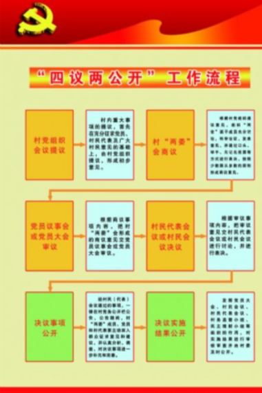 2025年XX村年终报账“四议两公开”会议记录