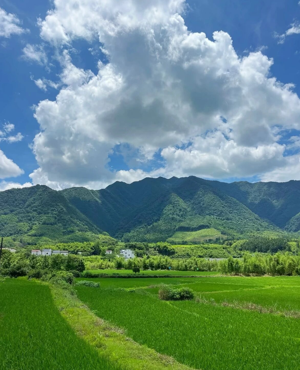 初夏的老家，曾经你想逃离，现在却想回来的地方